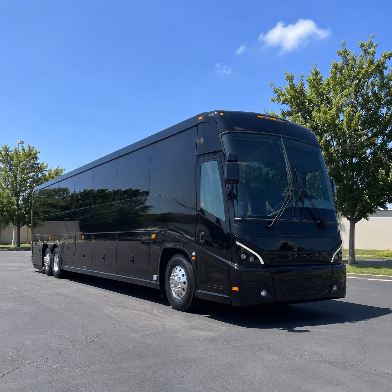 league city 56 passenger charter bus