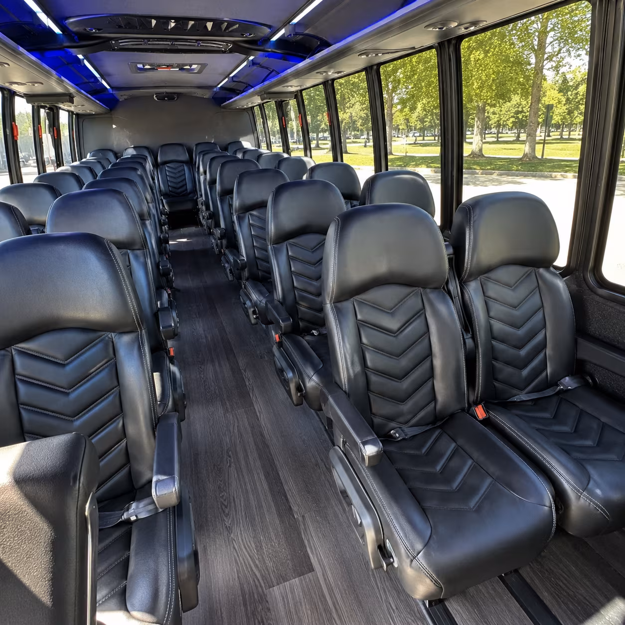 league city prom transportation onboard seating