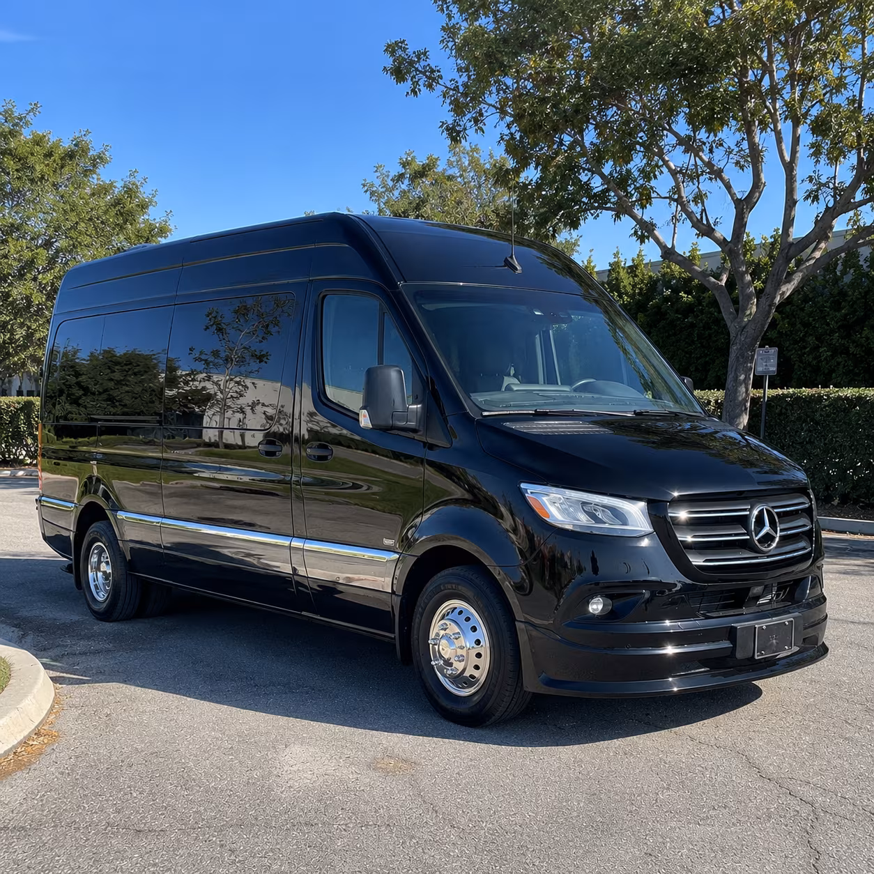 sprinter vans and minibuses for executive meetings across the bay area